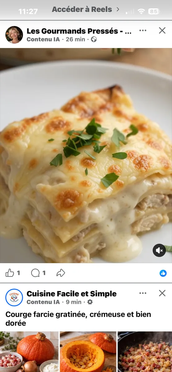 Lasagnes fondantes au poulet et sauce blanche crémeuse, au fromage