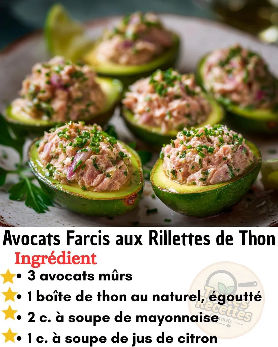 Avocats Farcis aux Rillettes de Thon