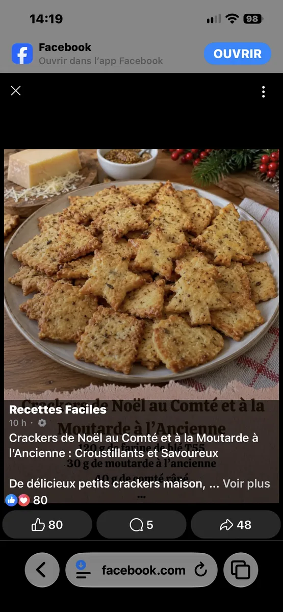 Crackers de Noël au Comté et à la Moutarde à l'Ancienne