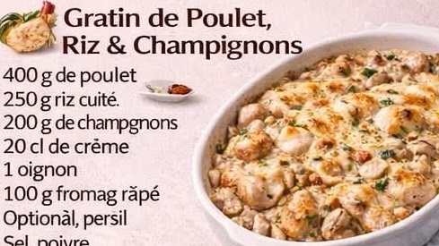 Grain de Poulet, Riz & Champignons
