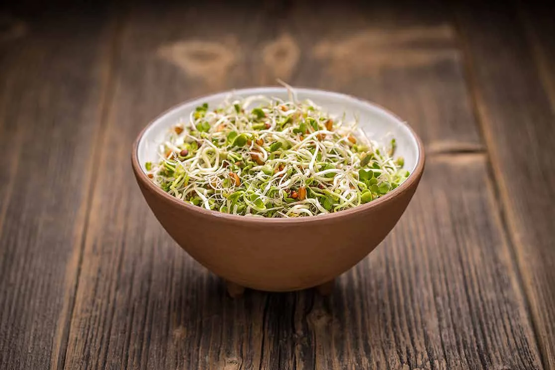 Salade avec des graines germées
